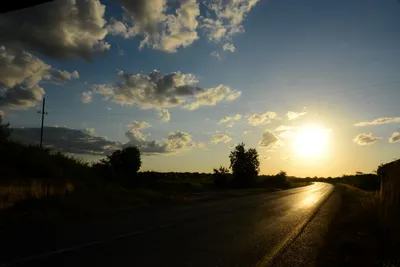 DSC_7833 (Large).JPG